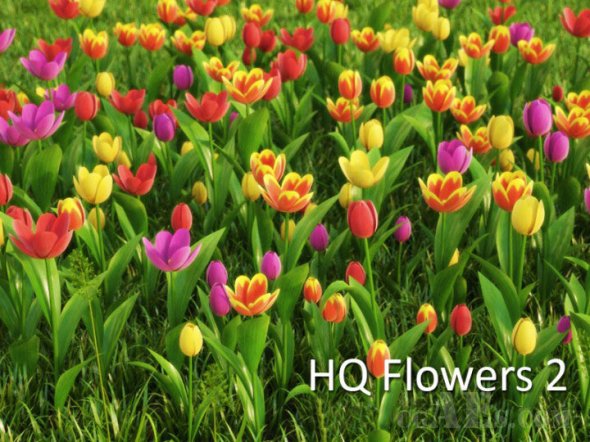 C001 C4D高清开花植物模型- VRAYC4D – HD FLOWERS VOL.2 FOR CINEMA4D
