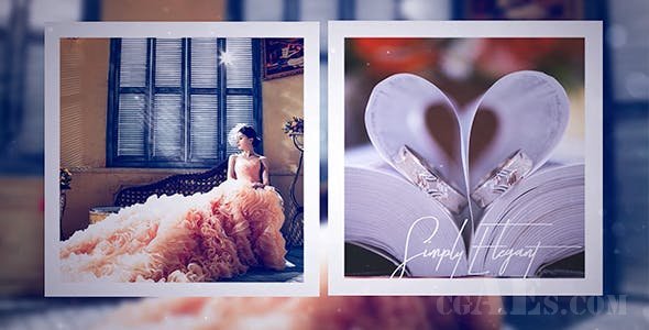 婚礼相册包装AE模板-VIDEOHIVE WEDDING DAY 21205306