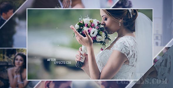 婚礼电子相册包装-VIDEOHIVE WEDDING SLIDE 21210267