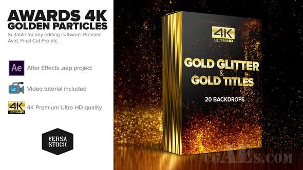 粒子飞溅揭示标题AE模板-VIDEOHIVE – AWARDS 4K GOLDEN GLITTER PARTICLES TITLES – 24982436