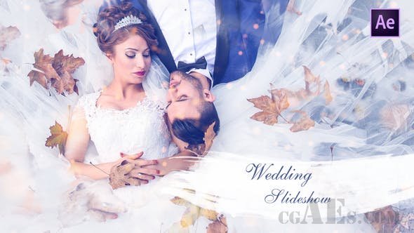 结婚纪念日视频包装AE模板-VIDEOHIVE WEDDING SLIDESHOW 25259629