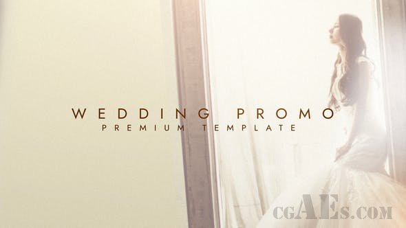 婚礼视频展示AE模板-VIDEOHIVE – WEDDING PROMO – 25401543