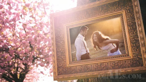 结婚纪念视频AE模板-VIDEOHIVE – WEDDING PHOTO GALLERY IN A CHERRY BLOSSOM ALLEY – 12720047