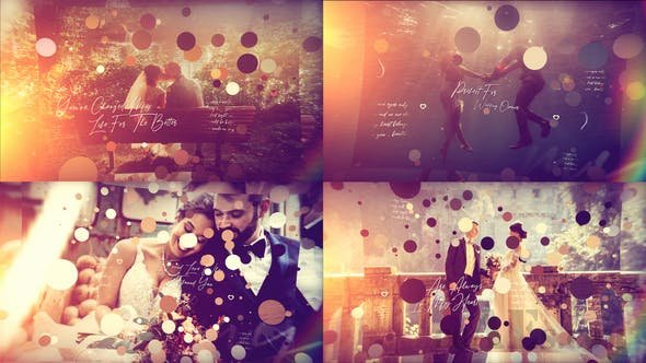 画笔粒子婚礼幻灯片-VIDEOHIVE – BRUSH PARTICLE WEDDING SLIDESHOW 24411057