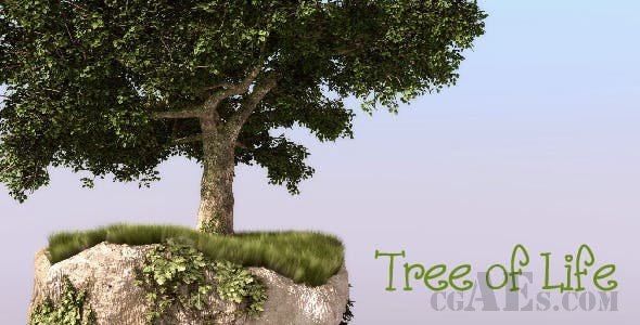 绿色视频展示AE模板-VIDEOHIVE – TREE OF LIFE 266336