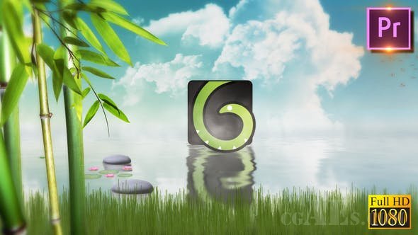 自然生活LOGO展示-VIDEOHIVE – NATURE LOGO REVEALER PREMIRE PRO 25825986