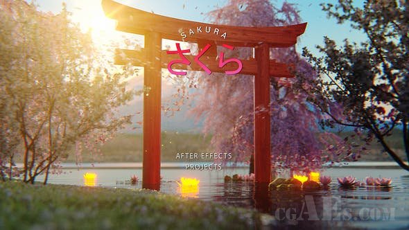 日本樱花片头模板-VIDEOHIVE – SAKURA – JAPAN OPENER 23562532