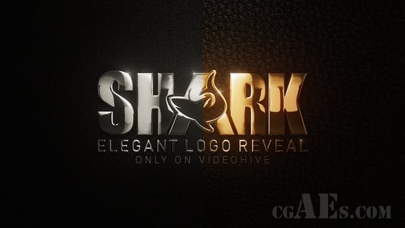 典雅的LOGO展示-VIDEOHIVE – ELEGANT LOGO 2 – 23217880