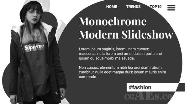 黑白片视频包装-VIDEOHIVE – MONOCHROME MODERN SLIDESHOW – 25995956