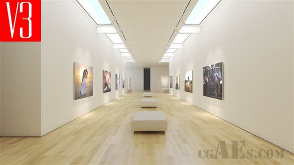 相册画廊-VIDEOHIVE – ART MUSEUM GALLERY V3 – 16728643