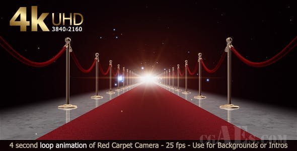 红地毯循环-VIDEOHIVE RED CARPET LOOP 17664986