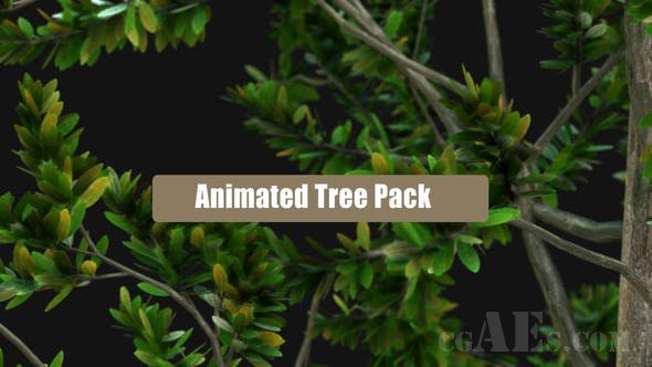 树动画元素包-VIDEOHIVE – ANIMATED TREE PACK 28600653